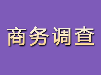 文安商务调查